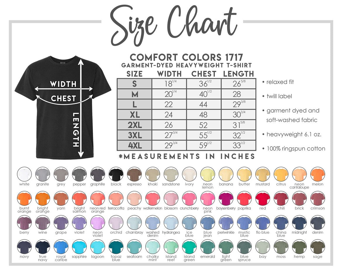 Embroidered Dainty State Comfort Colors Tee -- State Tee